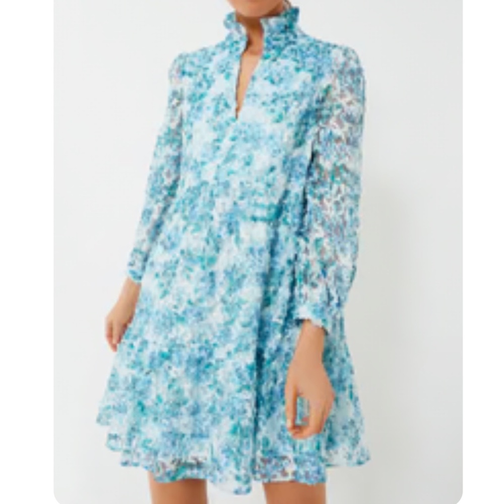 Tuckernuck Blue Floral Long-Sleeve Dress